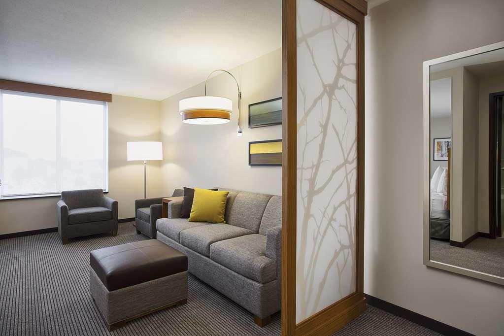 Hyatt Place Chicago Midway Airport Hotel Bedford Park Room photo