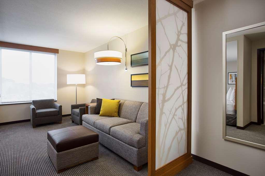 Hyatt Place Chicago Midway Airport Hotel Bedford Park Room photo